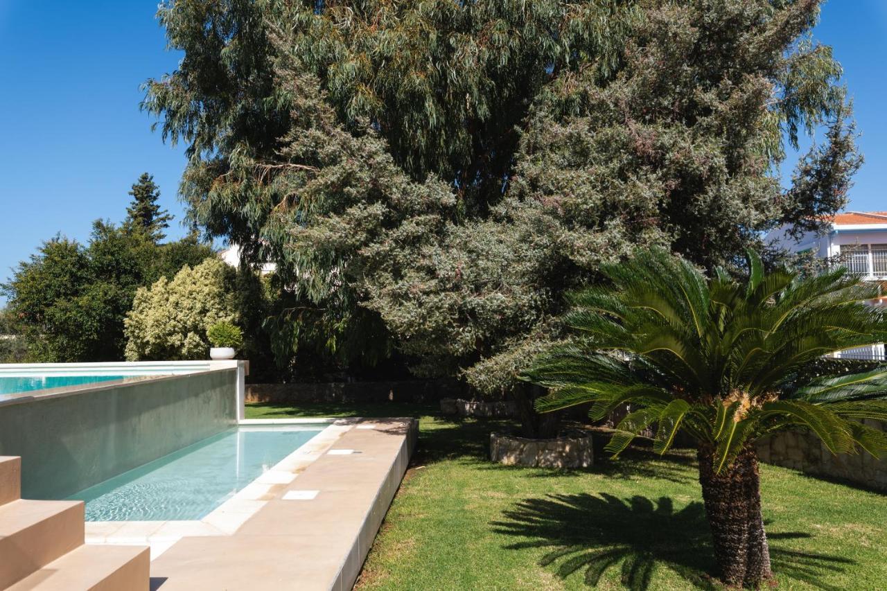 Cedar Tree Villa Kounoupidhianá エクステリア 写真