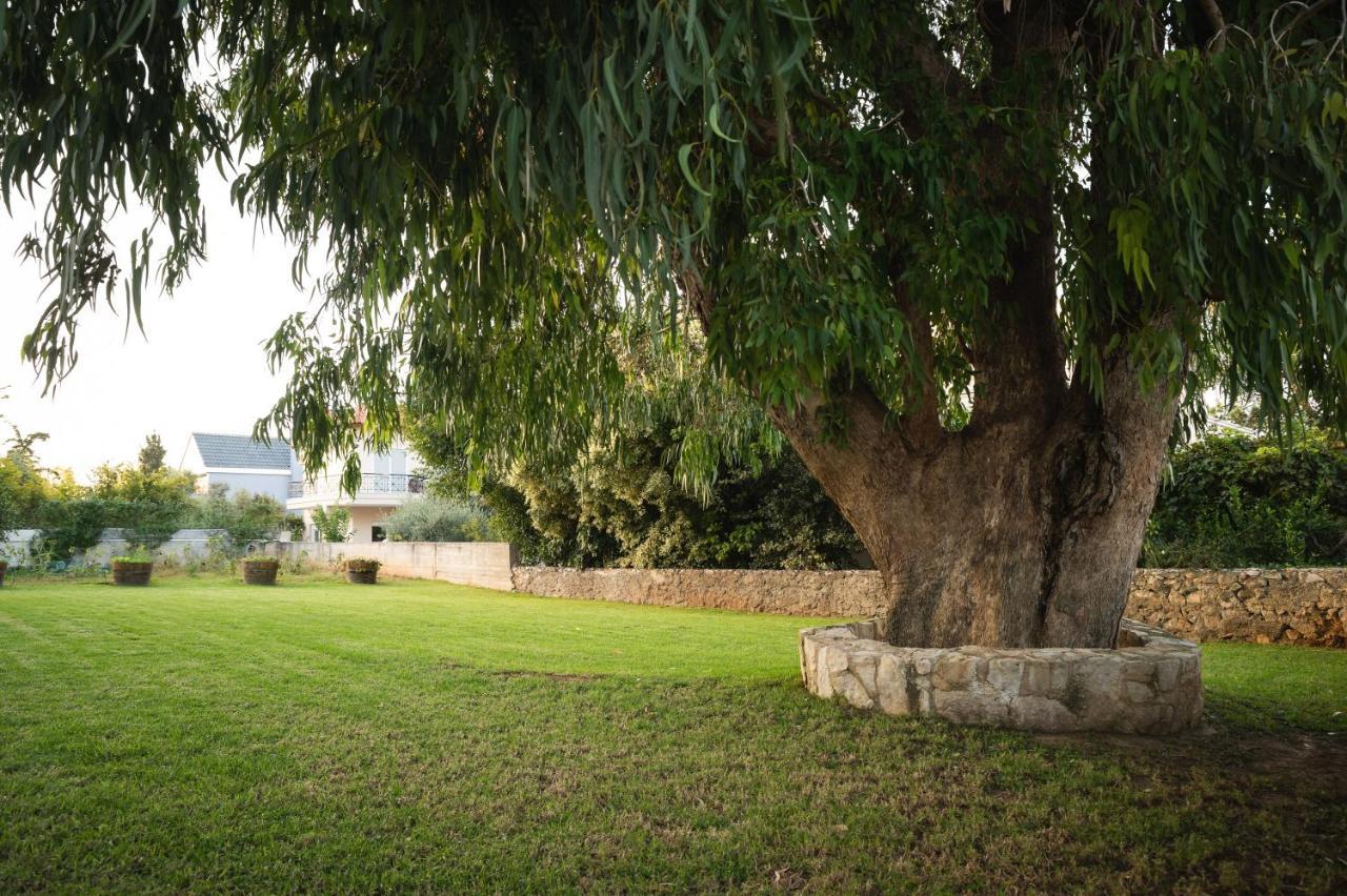 Cedar Tree Villa Kounoupidhianá エクステリア 写真